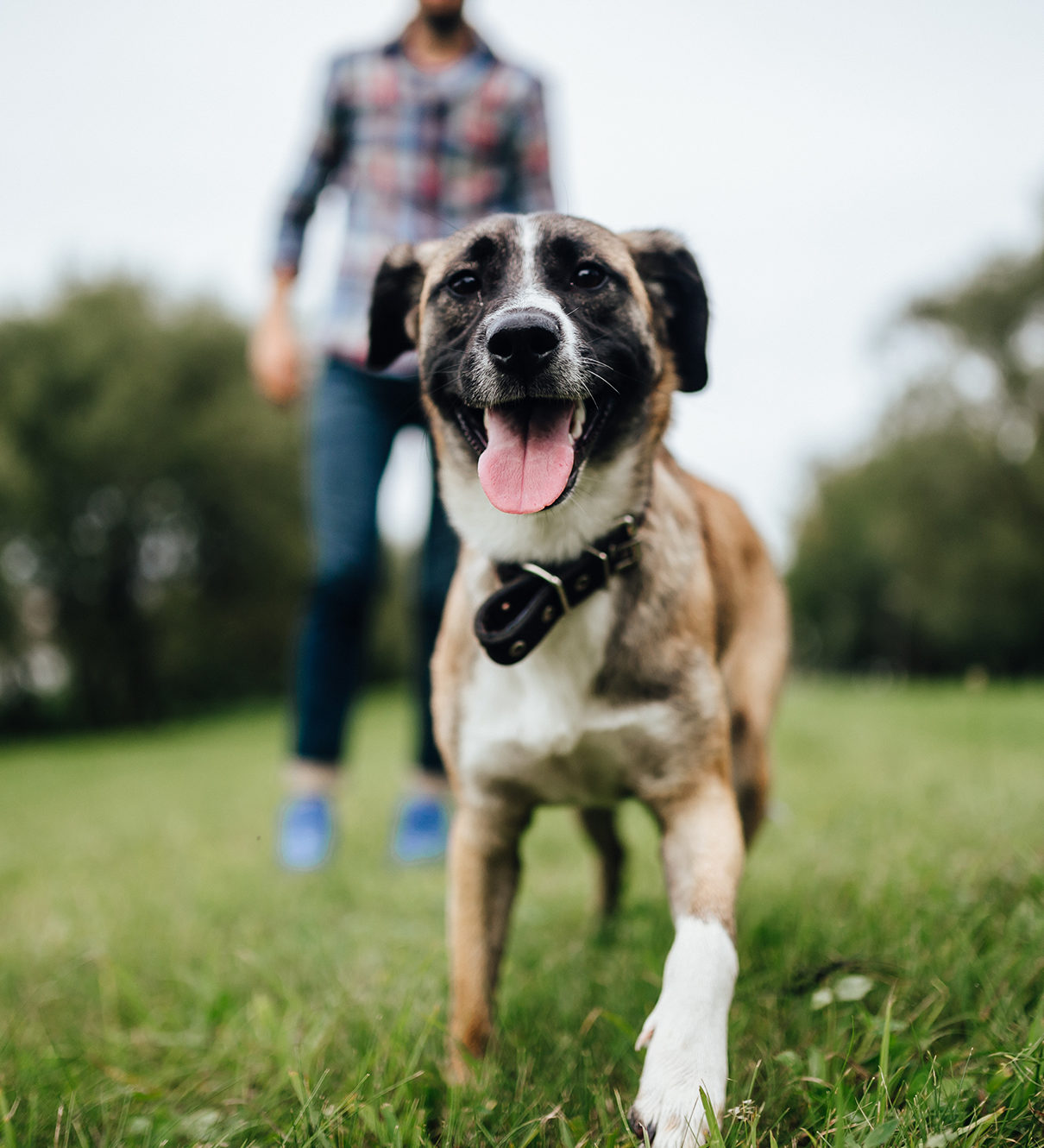 Dr. Jenya Katz smiling with a puppy