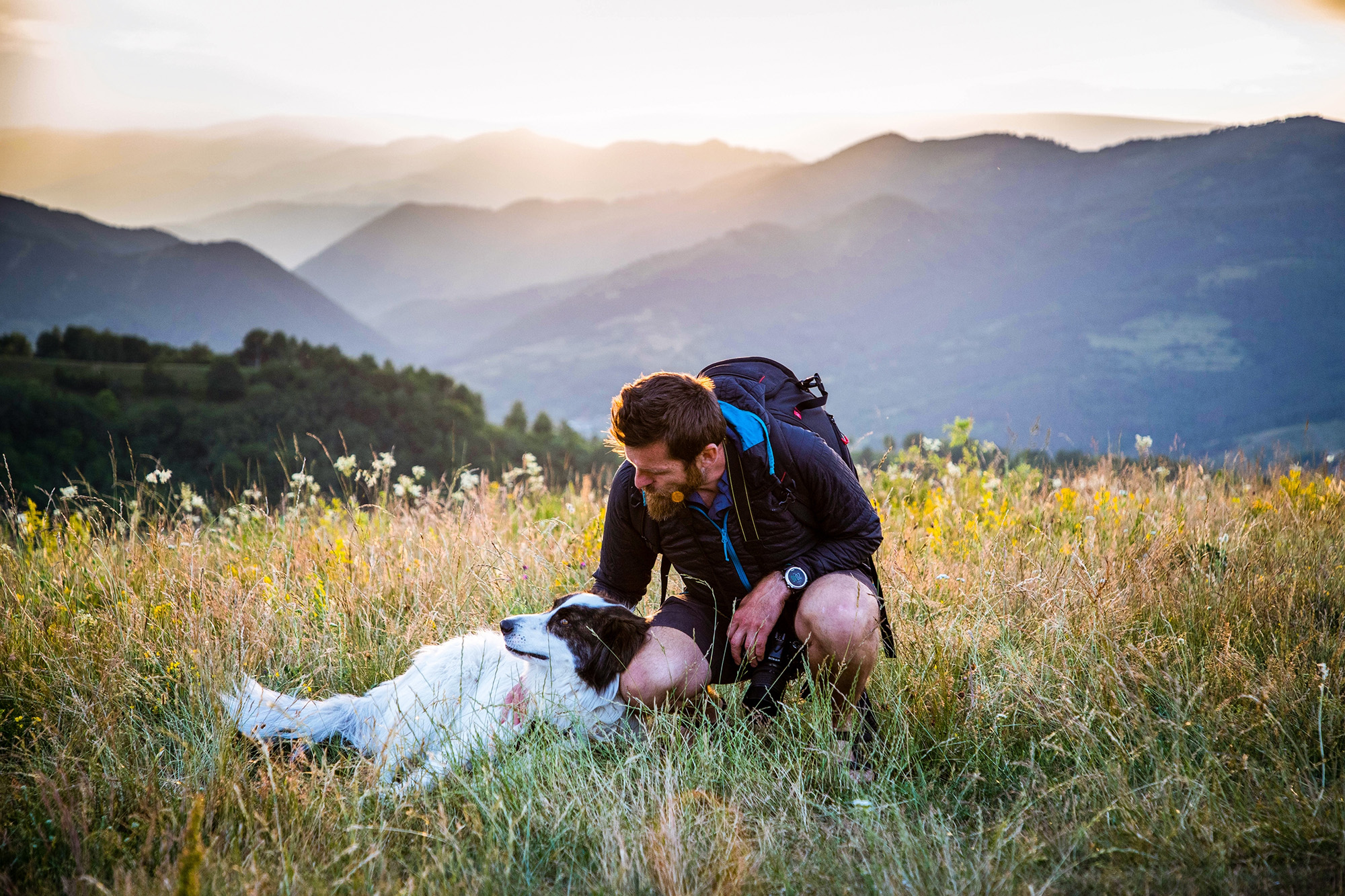 Veterinarian caring for pet in natural outdoor setting